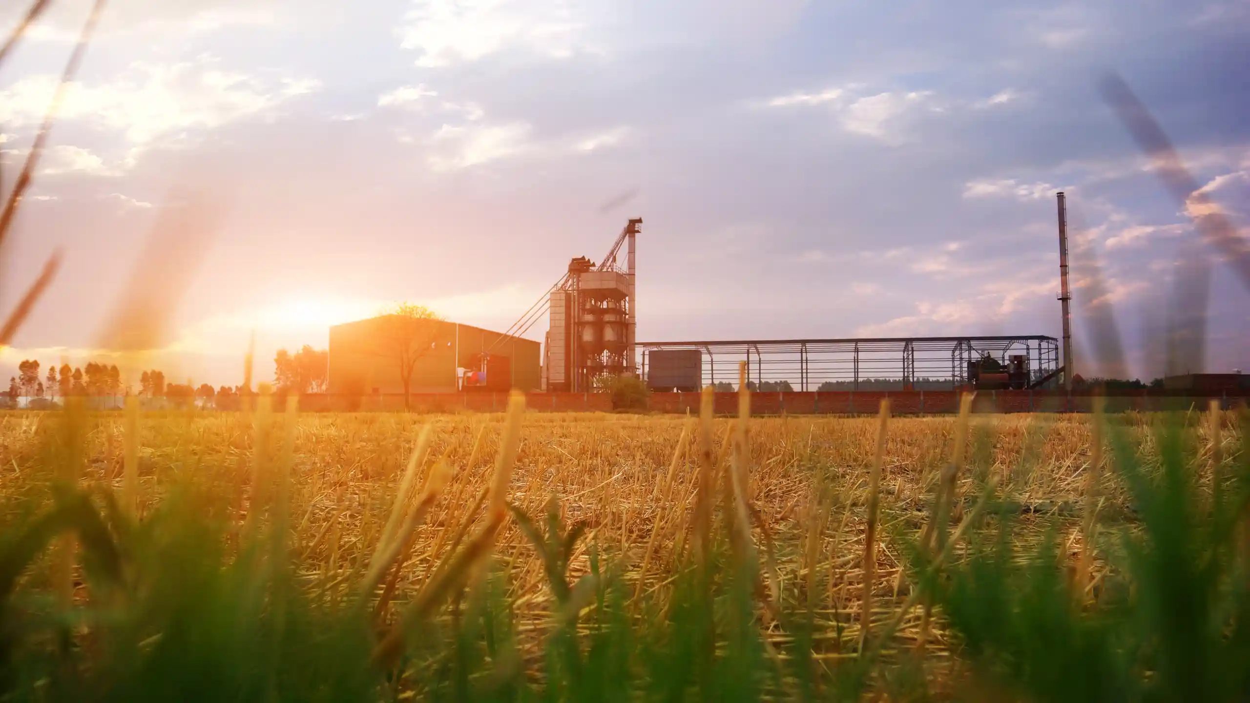 Agrogranos Piladora