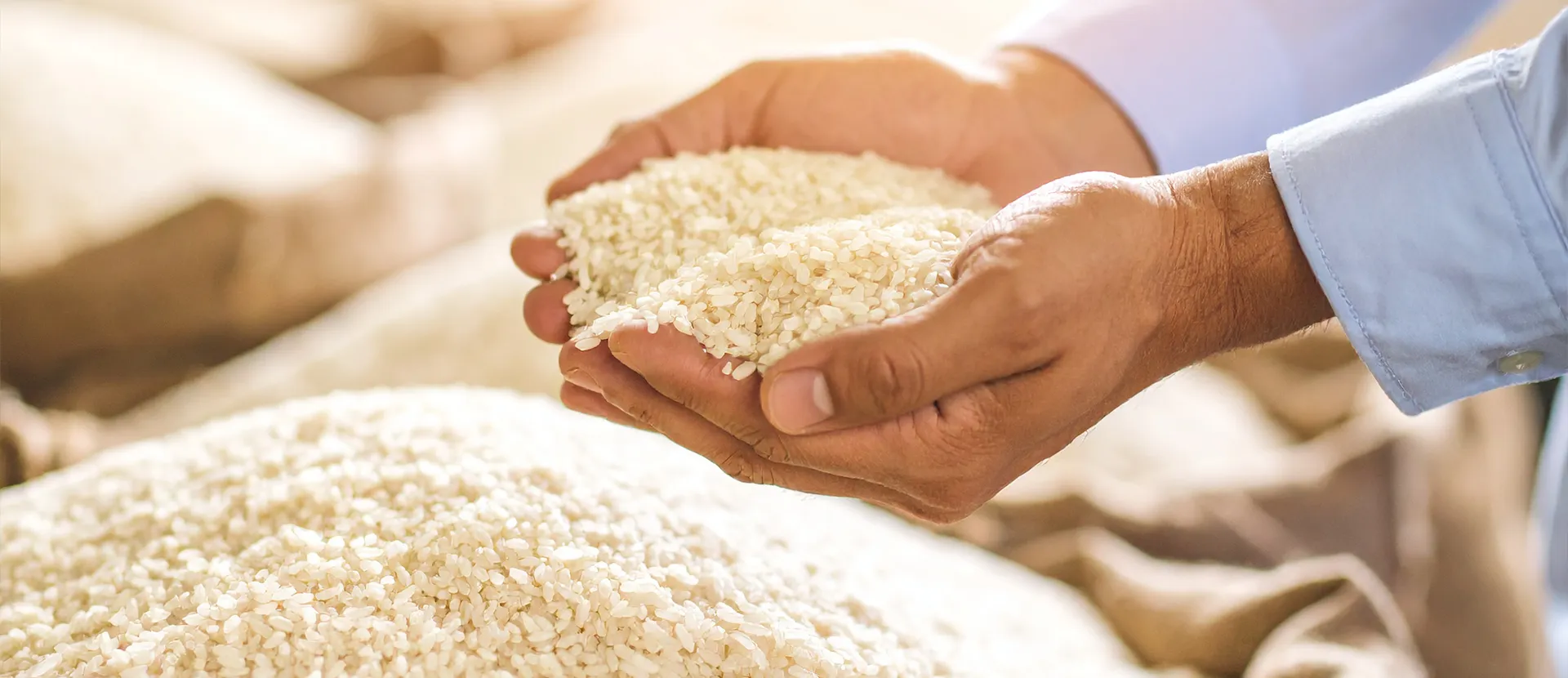 Arroz Envejecido